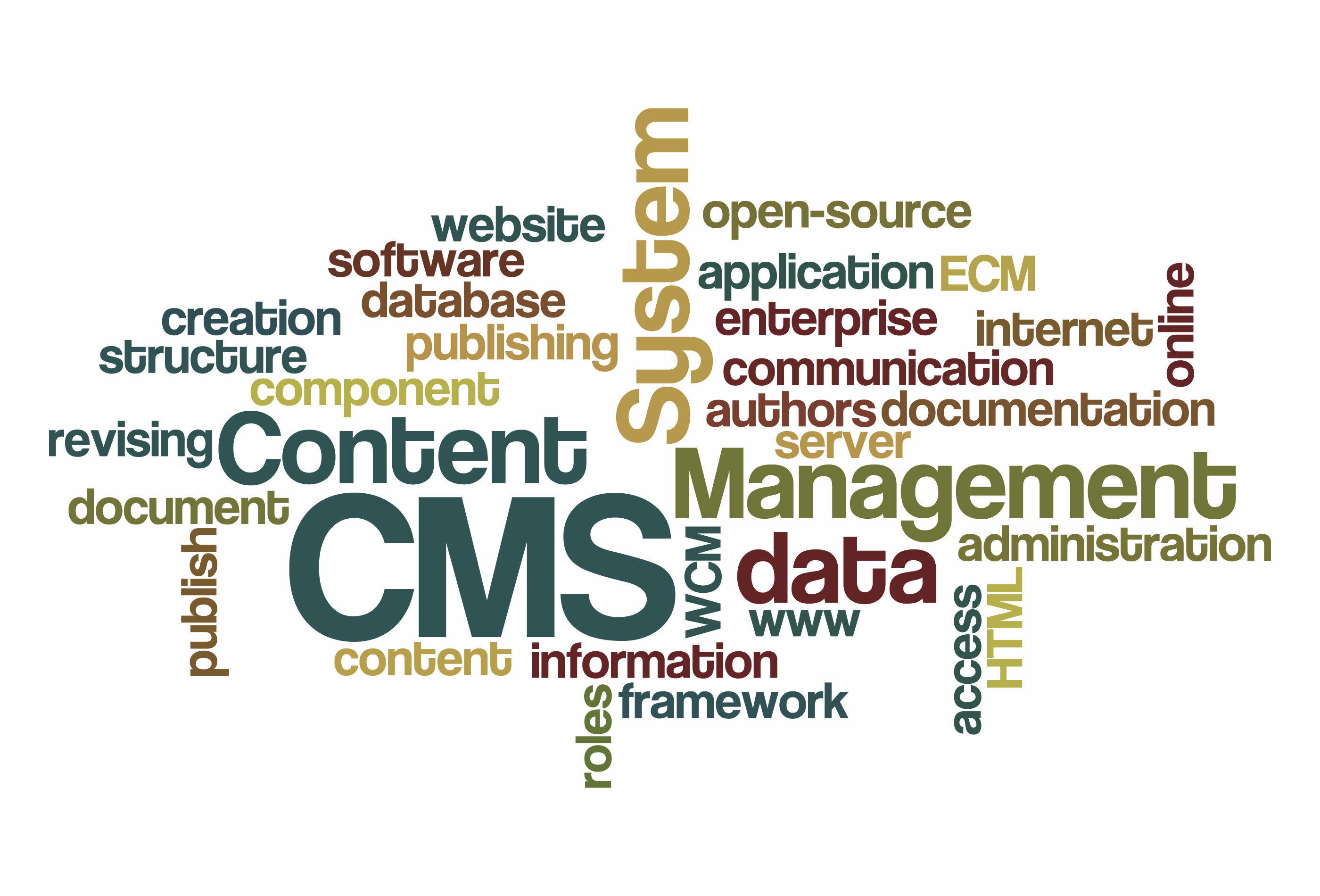 Content rev. Контент менеджмент. Web content Administrator. Wordcloud web Technologies.